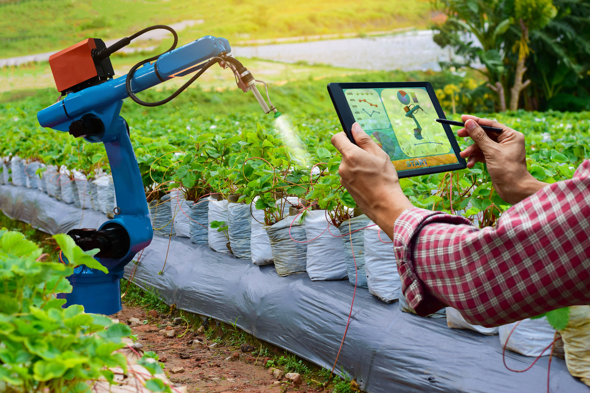 Farmer holding a tablet smart arm robot work agricultural machinery technology